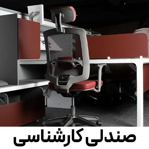 صندلی کارشناسی